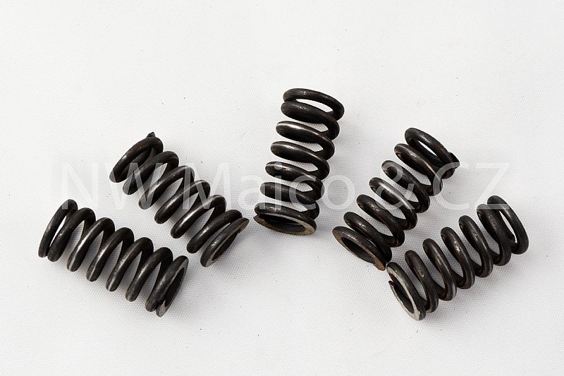 Image of Clutch Spring Kit, CZ Wet Set Of 5