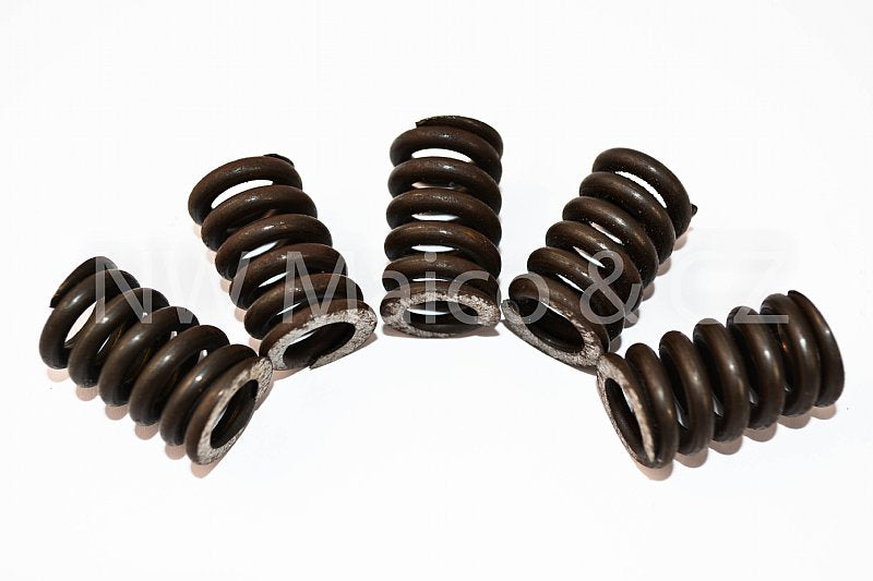 Image of Clutch Springs, CZ Dry Clutch (Set of 5)