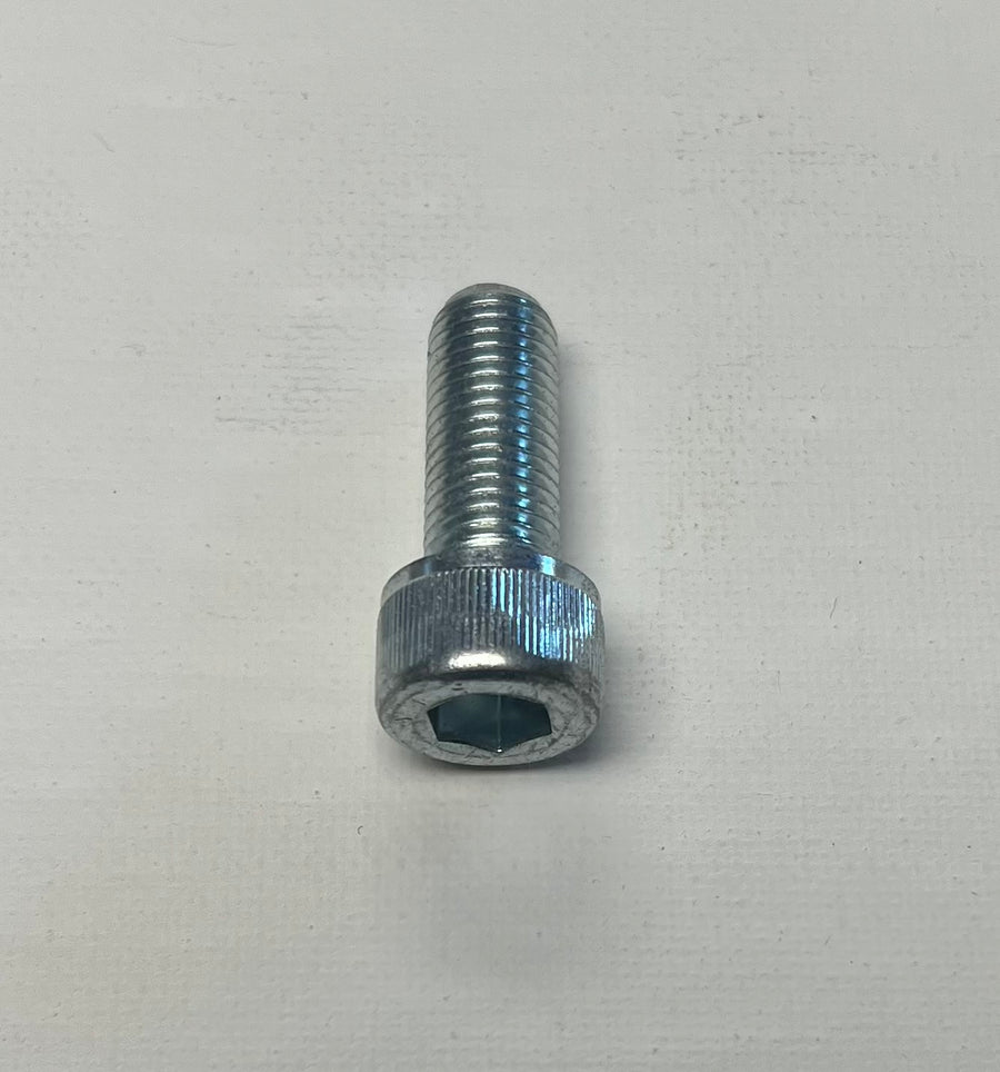 Cap Screw Socket Head M10 x 25MM